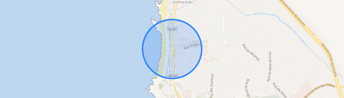 listing-map-picture