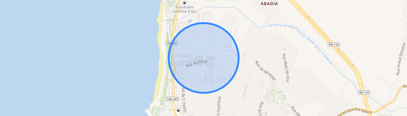 listing-map-picture