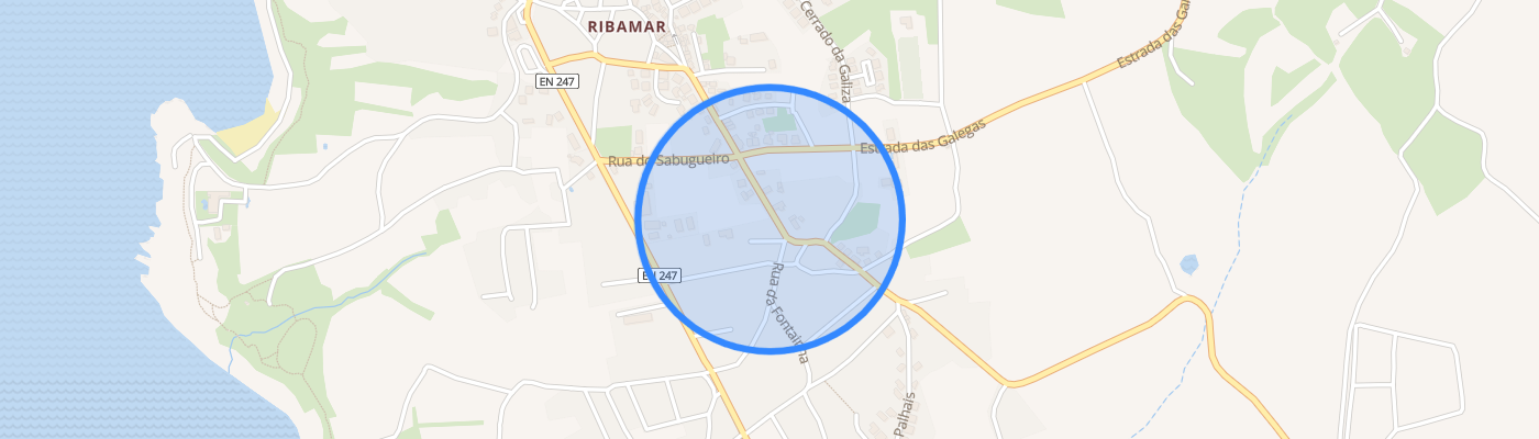 listing-map-picture