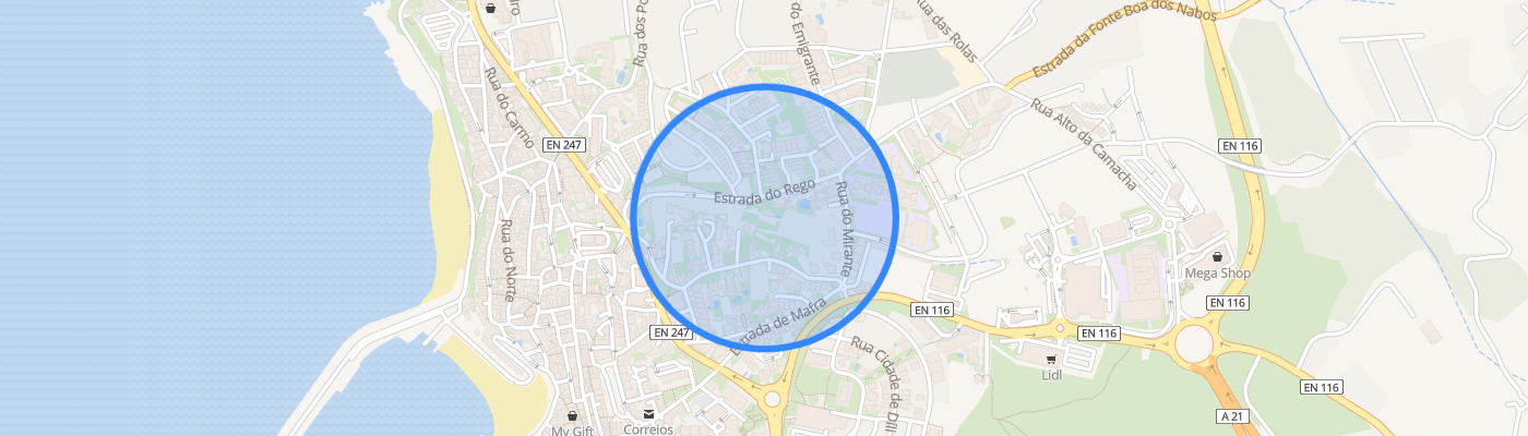 listing-map-picture