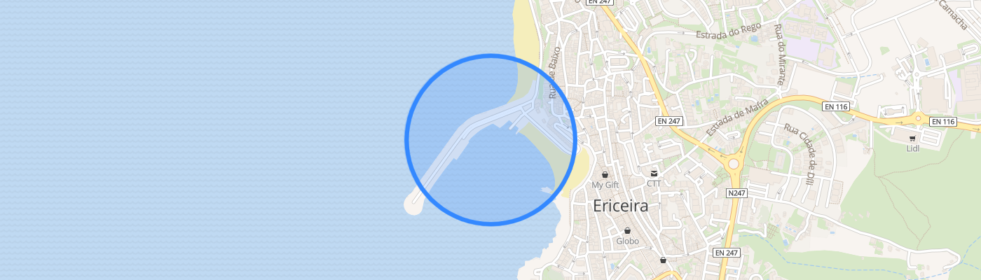 listing-map-picture