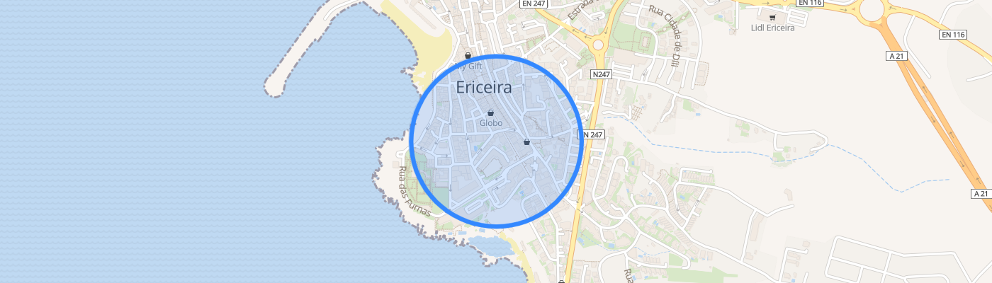 listing-map-picture