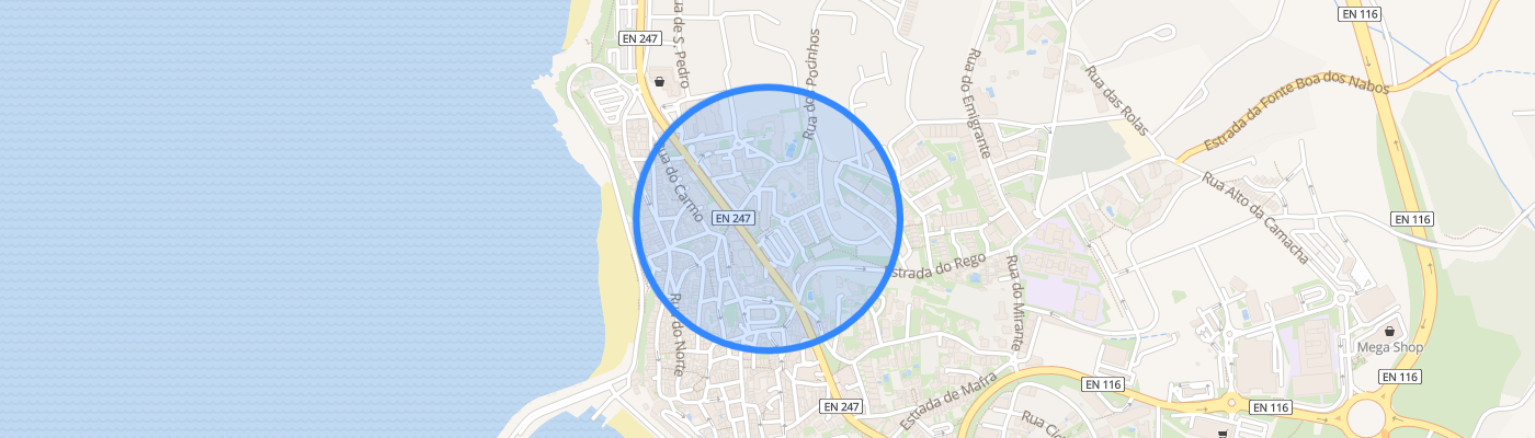 listing-map-picture
