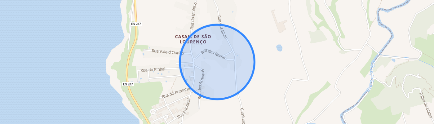 listing-map-picture