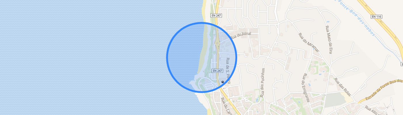 listing-map-picture