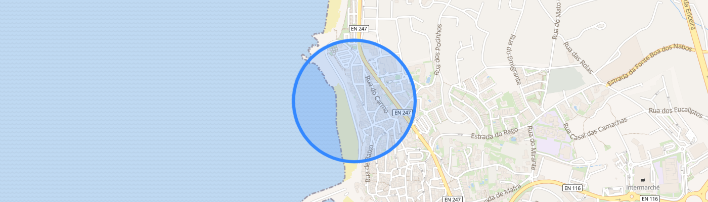 listing-map-picture