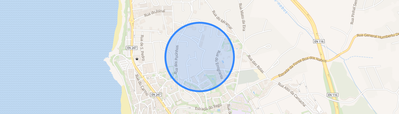 listing-map-picture