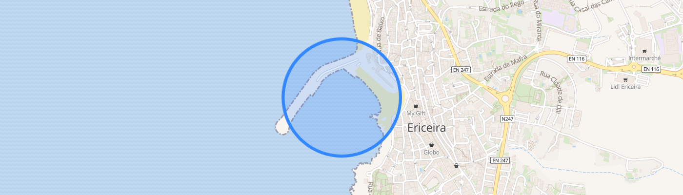listing-map-picture