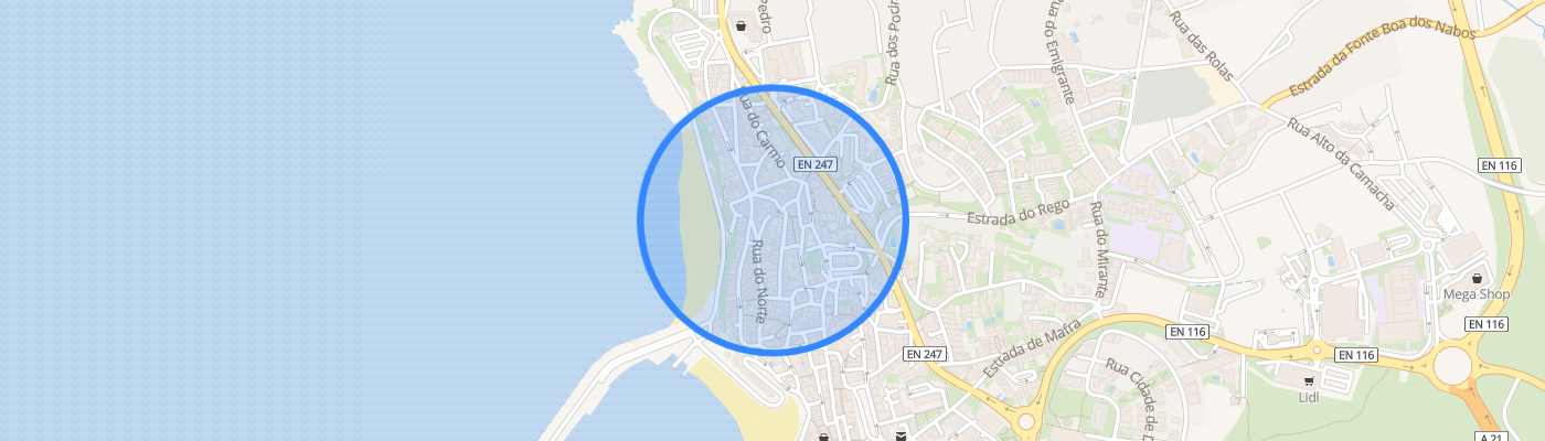 listing-map-picture