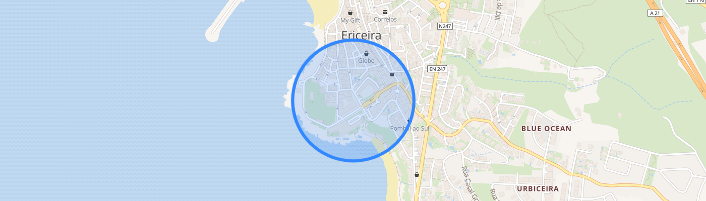 listing-map-picture