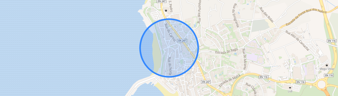 listing-map-picture