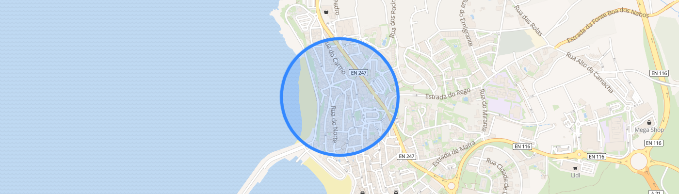 listing-map-picture