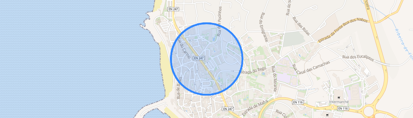 listing-map-picture