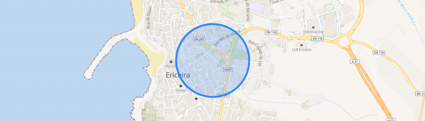 listing-map-picture