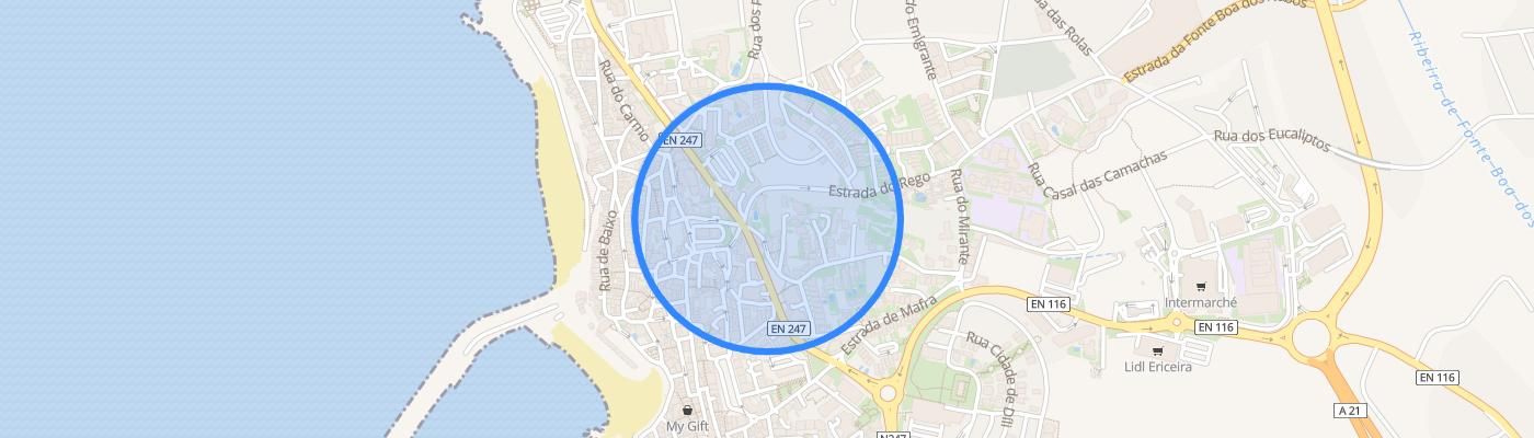 listing-map-picture