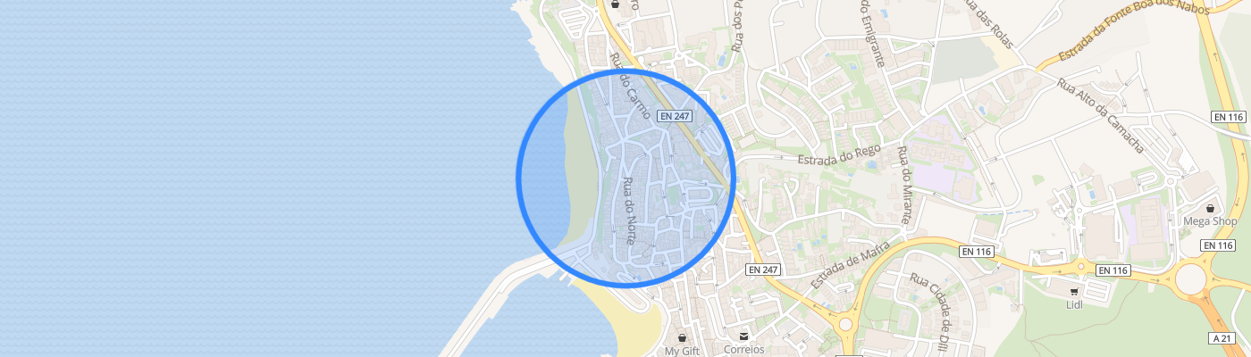 listing-map-picture