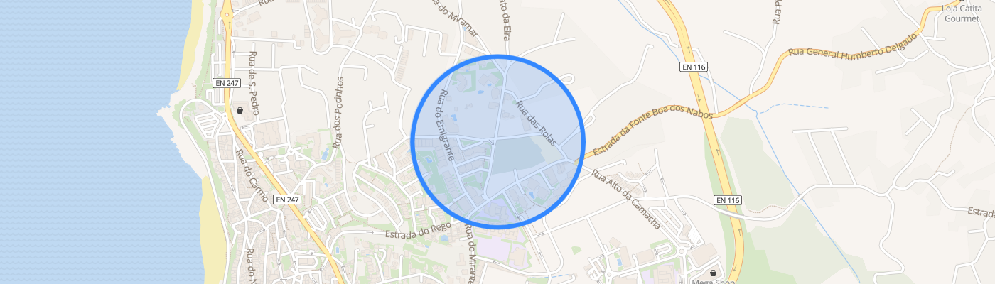 listing-map-picture