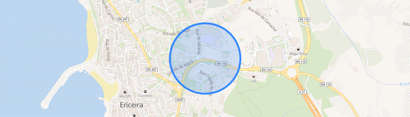listing-map-picture