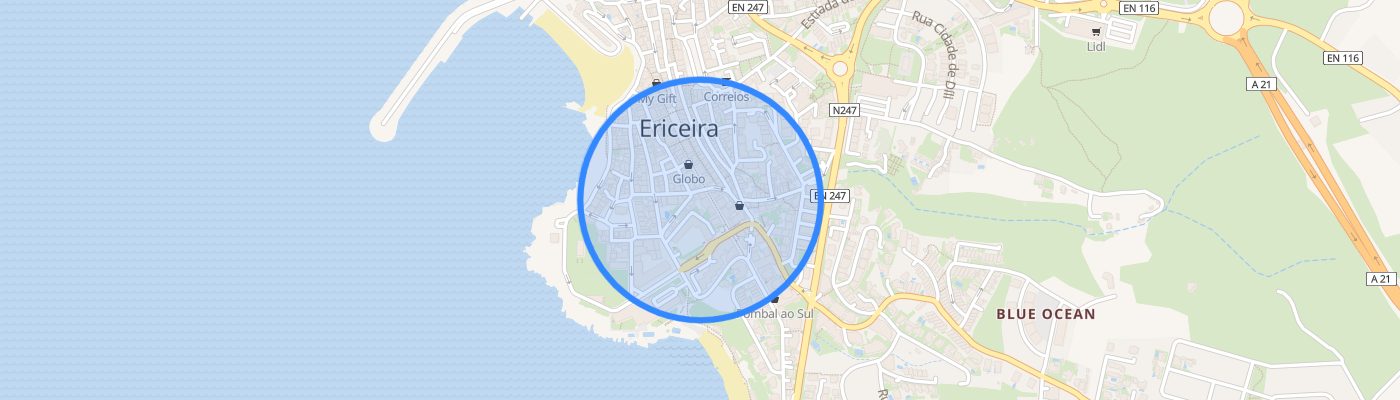 listing-map-picture