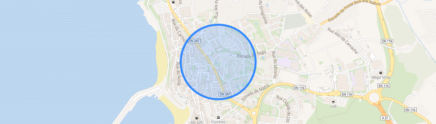 listing-map-picture