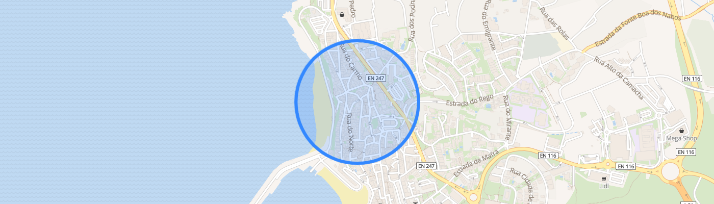 listing-map-picture