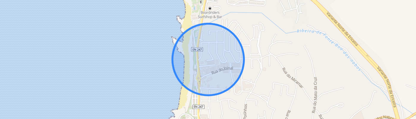 listing-map-picture