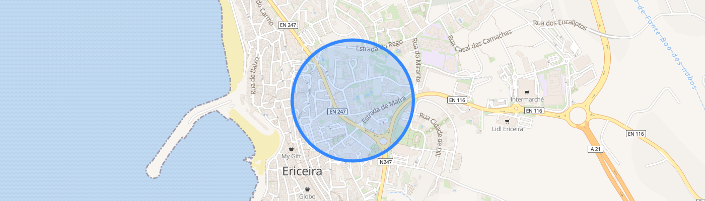 listing-map-picture