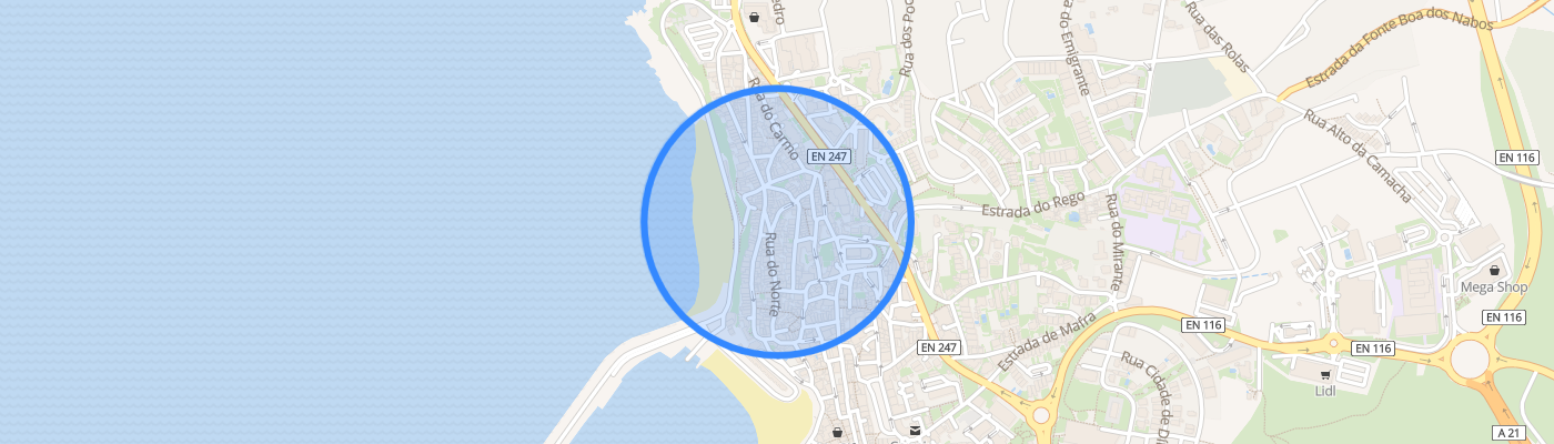 listing-map-picture