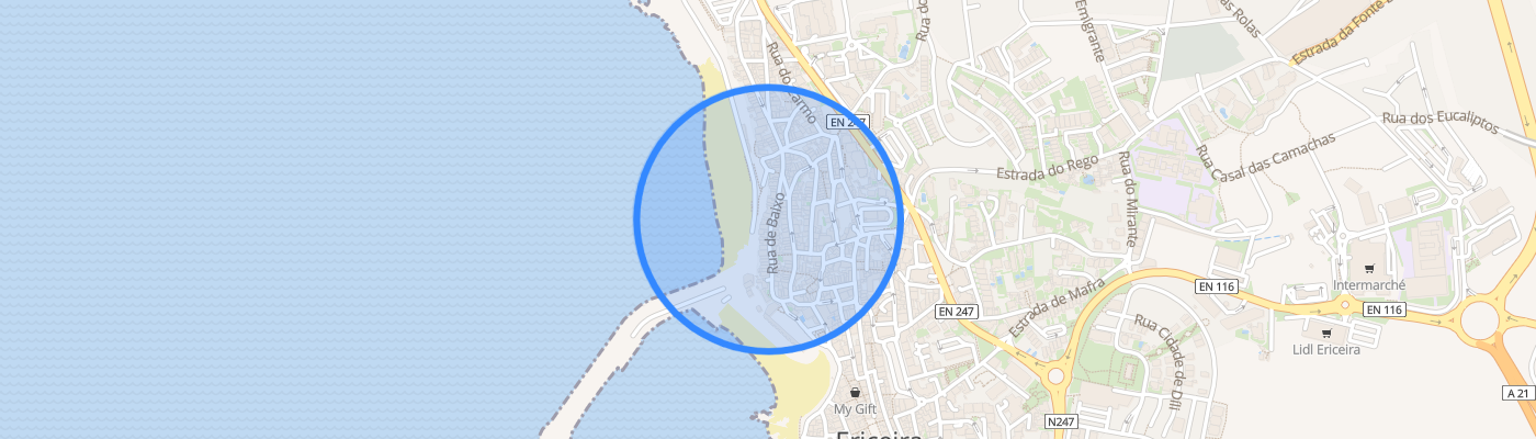 listing-map-picture