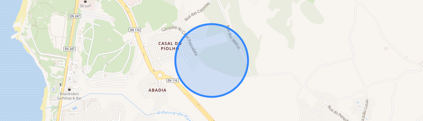 listing-map-picture