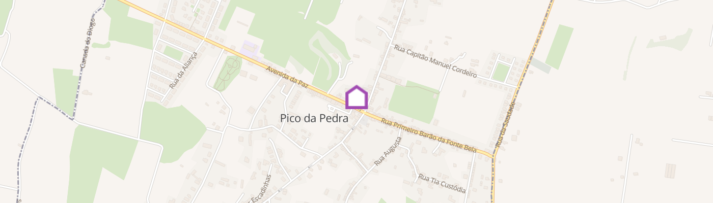 listing-map-picture