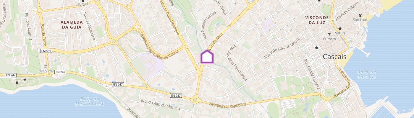listing-map-picture