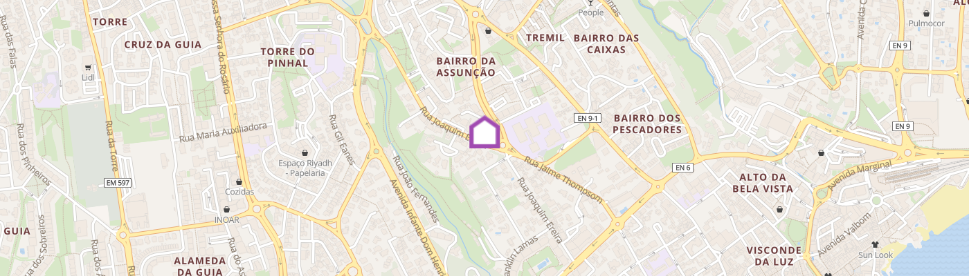 listing-map-picture
