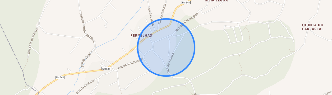 listing-map-picture