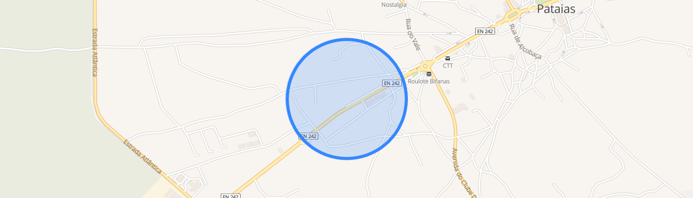 listing-map-picture