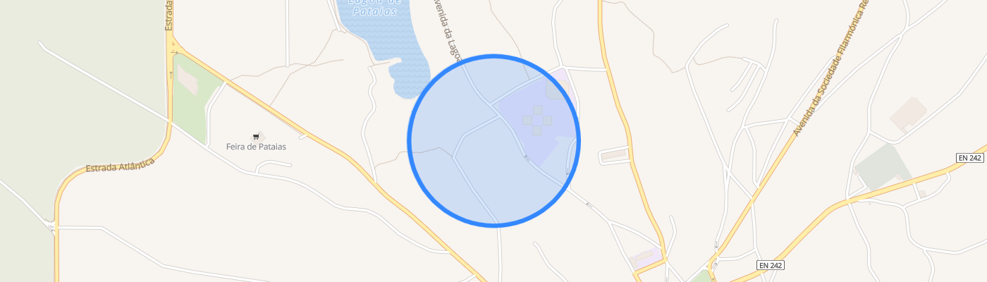 listing-map-picture