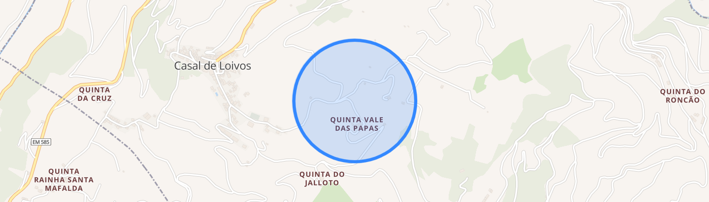 listing-map-picture