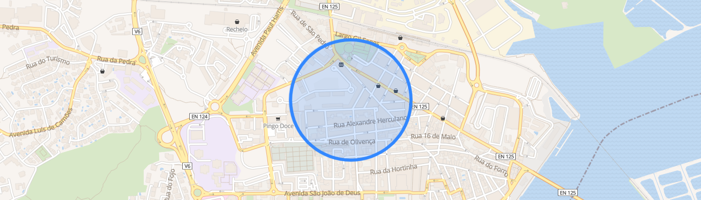 listing-map-picture