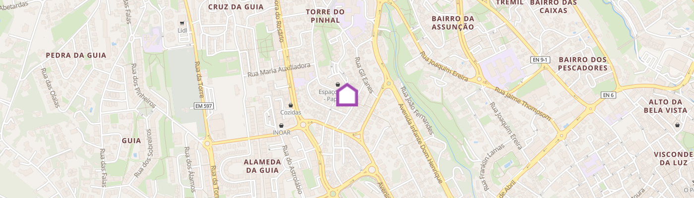 listing-map-picture