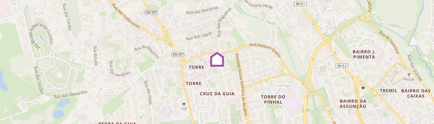 listing-map-picture