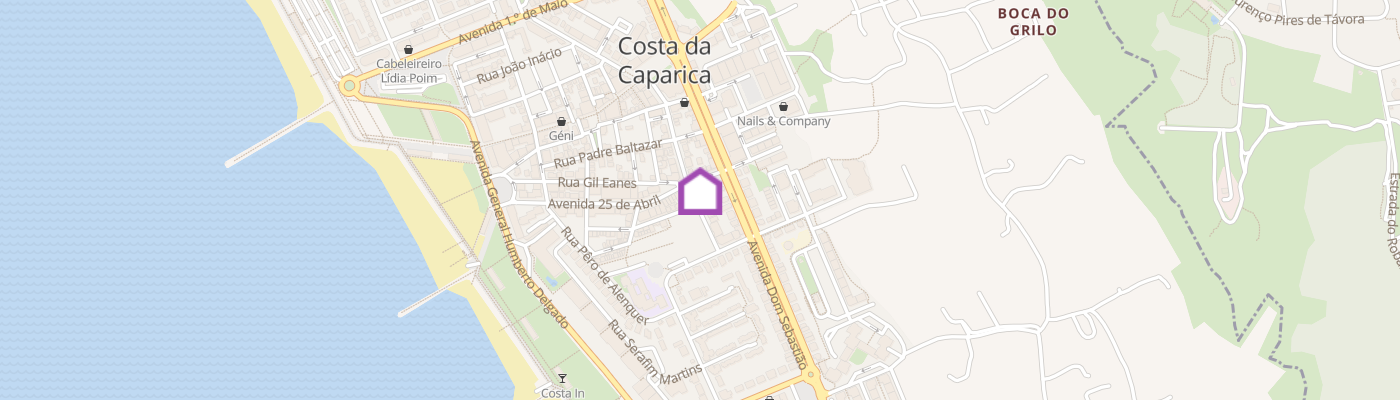 listing-map-picture