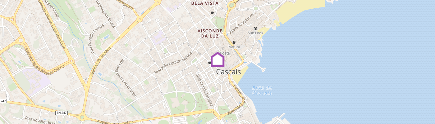 listing-map-picture