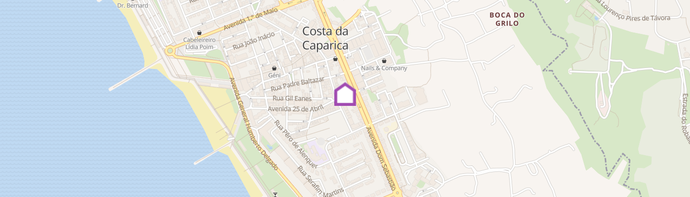 listing-map-picture