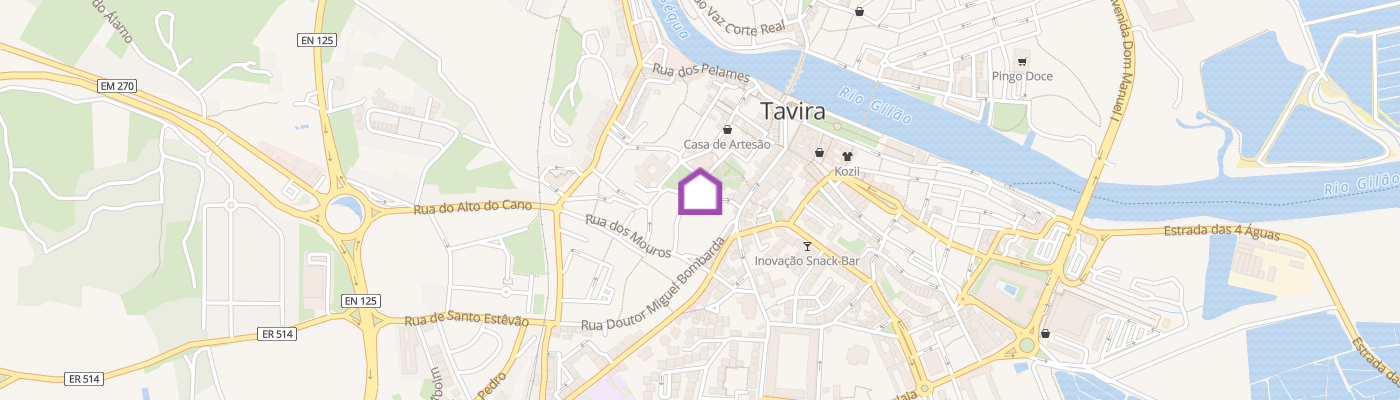 listing-map-picture
