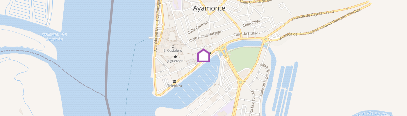 listing-map-picture