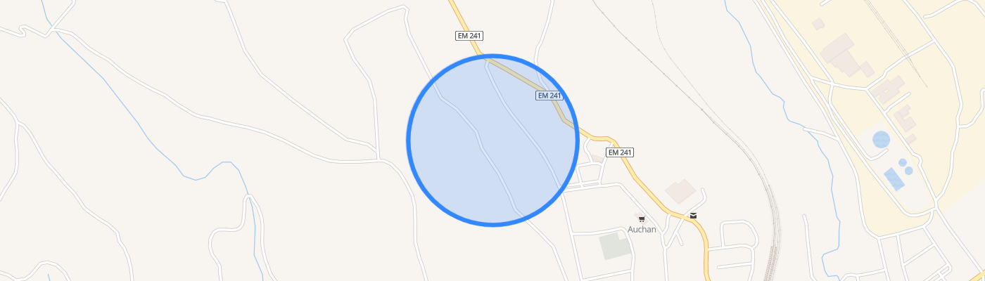 listing-map-picture
