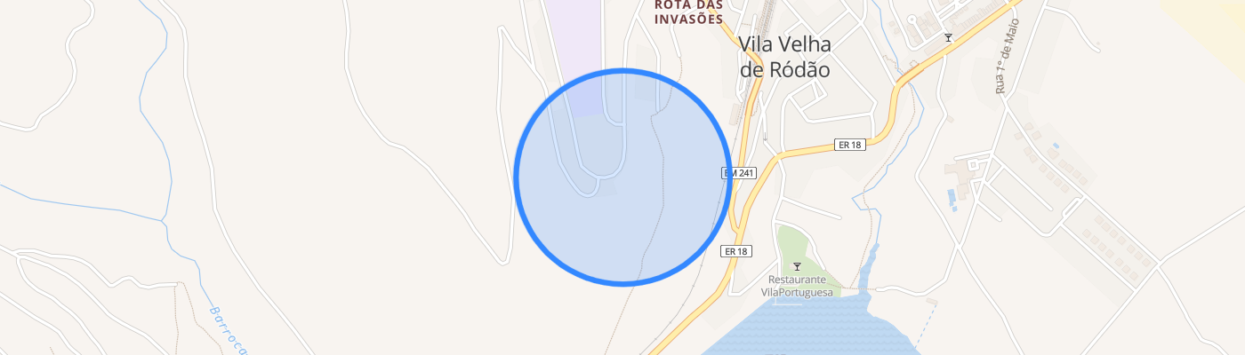 listing-map-picture