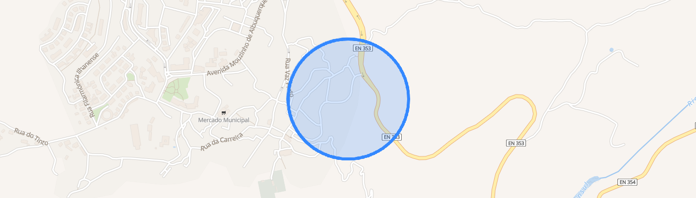 listing-map-picture
