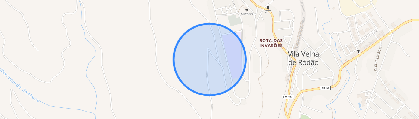 listing-map-picture