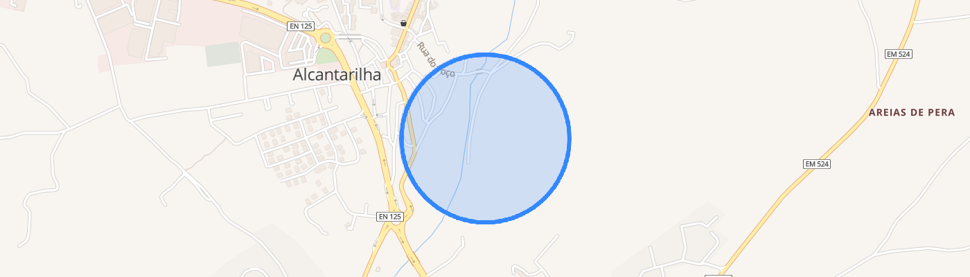 listing-map-picture